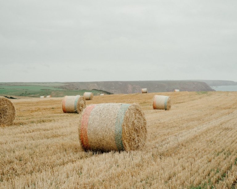 hay bales on dry grassy field in countryside