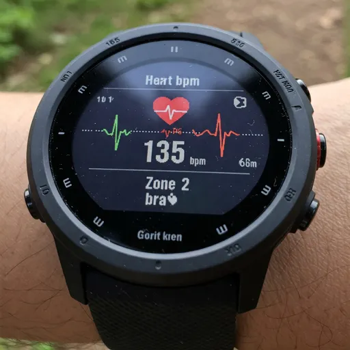 Using Heart Rate Zones for Backyard Ultra Training