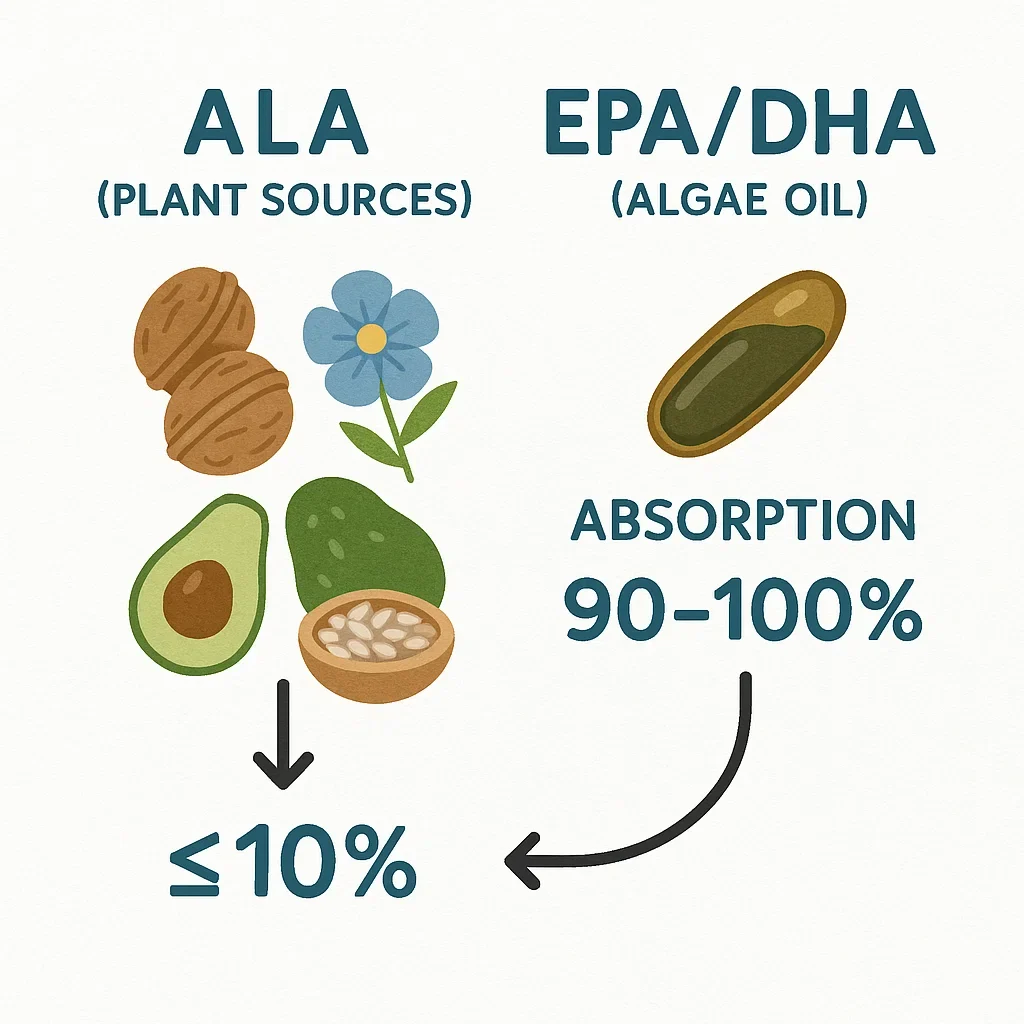 Omega-3 Strategies for Plant-Based Endurance Athletes: Science-Backed Vegan Solutions 3 ALA vs. EPA/DHA infographic: plant foods, algae oil, conversion and absorption for vegans.